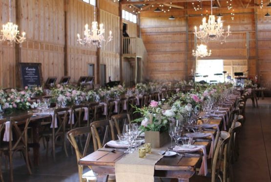 Weddings / Receptions – Professional Party Rentals